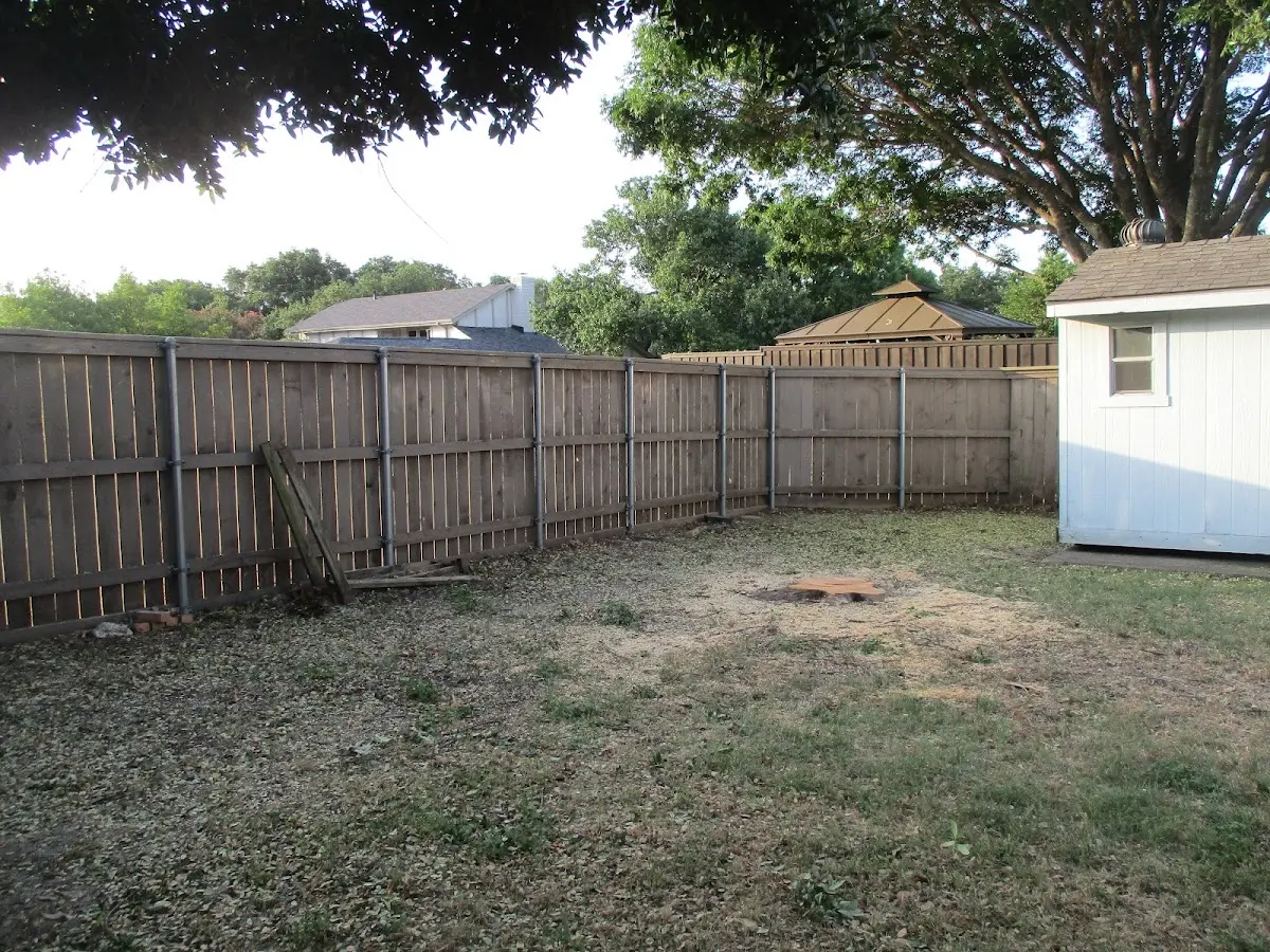 Cleared yard after professional tree removal in Wilmot