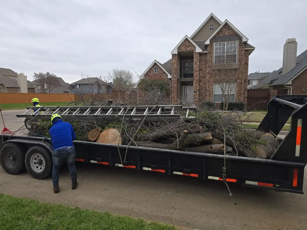 Expert Crown Reduction with proper safety equipment in Wilmot